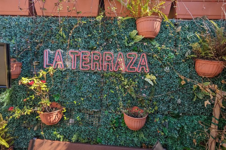 a close up of a flower garden