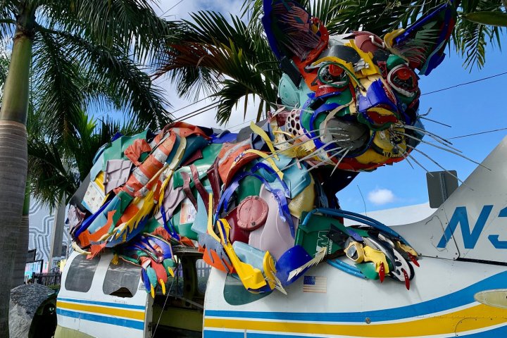 a group of colorful flowers