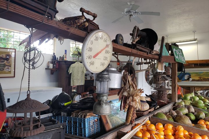 a group of people sitting at a fruit stand